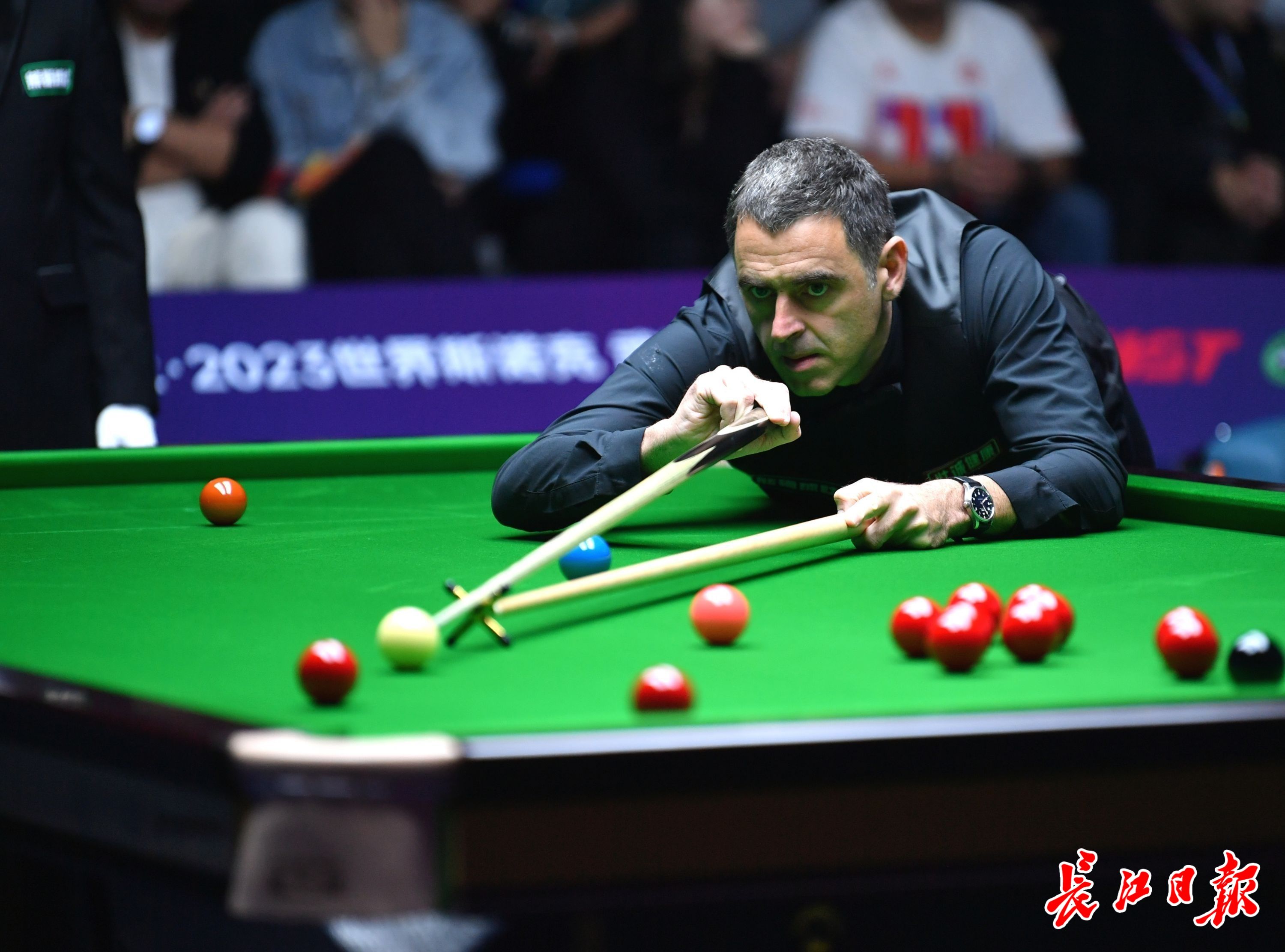 不仅帮助球 不仅帮助球