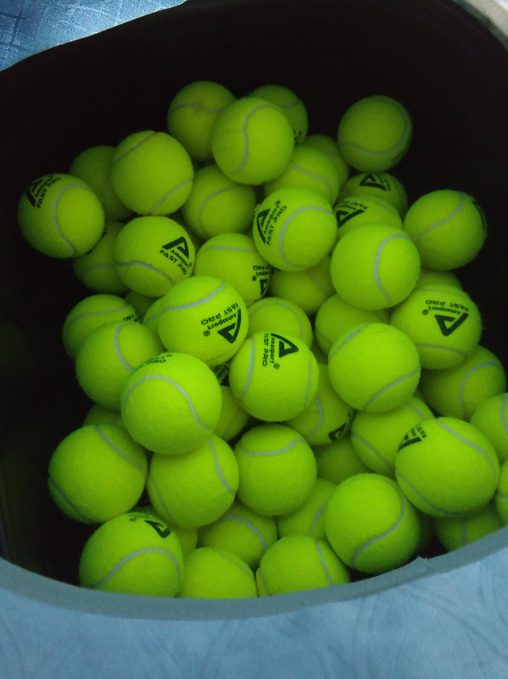 政府和相关 政府和相关